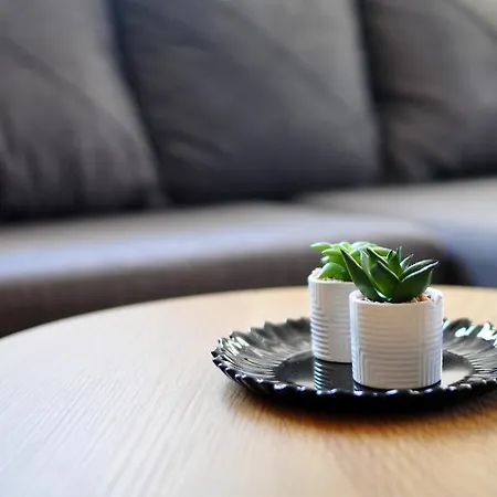 Apartamento Chaplin Vrnjačka Banja