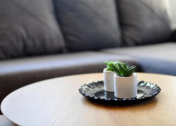 Apartament Chaplin Vrnjačka Banja